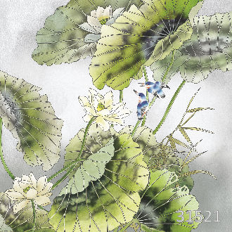 Water plants